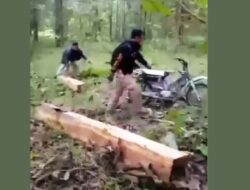 Viral, Video Penembakan Buser Perhutani terhadap Pelaku Pencurian Kayu di Wilayah Randublatung: MPKN Blora Mengecam, Pertanyakan Legalitas Senjata
