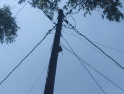 Kabel PLN Telanjang dan Semrawut di Blora: Warga Ketakutan, Anak-anak Terancam!