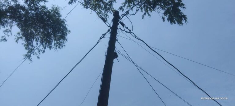 Kabel PLN Telanjang dan Semrawut di Blora: Warga Ketakutan, Anak-anak Terancam!