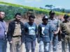 Pemkab Pati Tertibkan Tambang Ilegal di Tlogowungu, Alat Berat Ditarik
