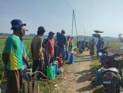 DP4 Blora Terapkan Budaya Kerja C3, Respon Cepat Atasi Serangan Hama dan Masalah Keasaman Tanah