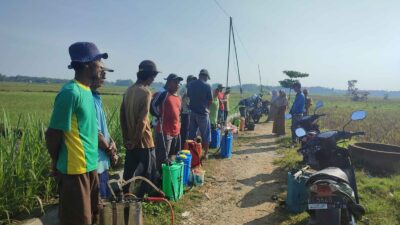 DP4 Blora Terapkan Budaya Kerja C3, Respon Cepat Atasi Serangan Hama dan Masalah Keasaman Tanah