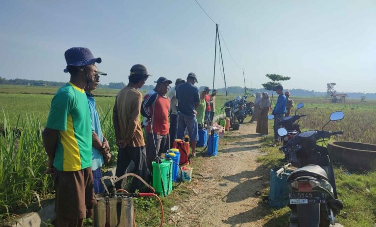 DP4 Blora Terapkan Budaya Kerja C3, Respon Cepat Atasi Serangan Hama dan Masalah Keasaman Tanah