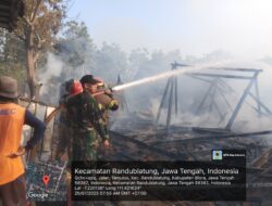 Ditinggal Ngarit, Rumah Sugirah Ludes Terbakar – Dua Ekor Sapi dan Perabotan Ikut Hangus