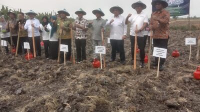 Blora Jadi Lokasi Peluncuran Perdana Program GeMAR, Solusi Tani Anti Rugi
