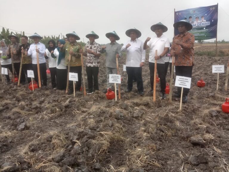 Blora Jadi Lokasi Peluncuran Perdana Program GeMAR, Solusi Tani Anti Rugi