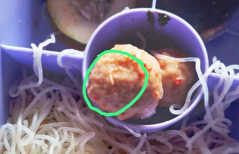 Dapur Sebara Disorot, Belatung Ditemukan di Menu Makan Gratis SD Gersi