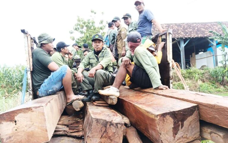 Patroli Gabungan KPH Cepu Sapu Wilayah Hutan Cabak–Nglebur, Puluhan Batang Kayu Jati Ilegal Diamankan