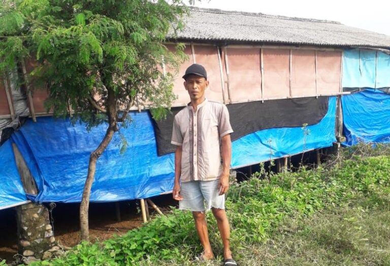 Kuota DOC Masih Dinilai Berat Sebelah, Peternak Mandiri Pantura Kian Tertekan