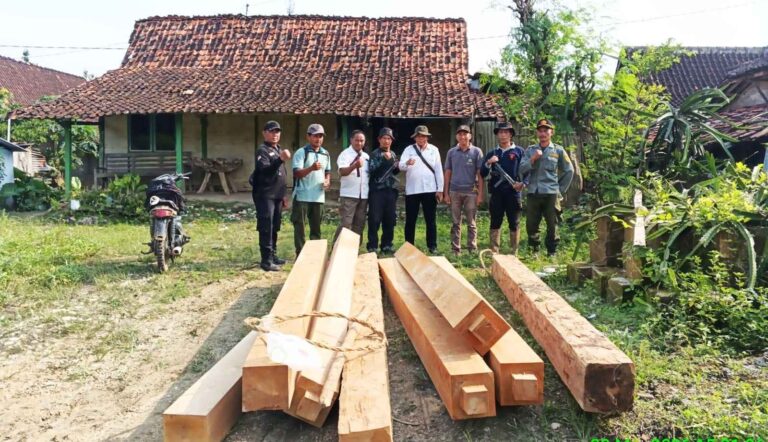 Waka Adm Lukman Jayadi Pimpin Langsung Operasi Simpatik di Ketringan, 8 Batang Kayu Jati Ilegal Diamankan