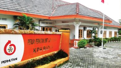 MPKN Laporkan Dugaan Permainan Kayu di KPH Blora Perhutani Bantah Ada Pembalakan Terogani