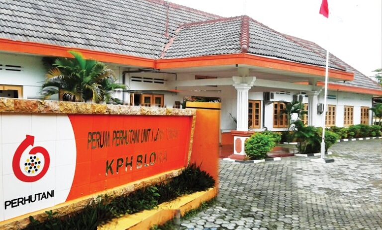 MPKN Laporkan Dugaan “Permainan Kayu” di KPH Blora, Perhutani Bantah Ada Pembalakan Teroganisir